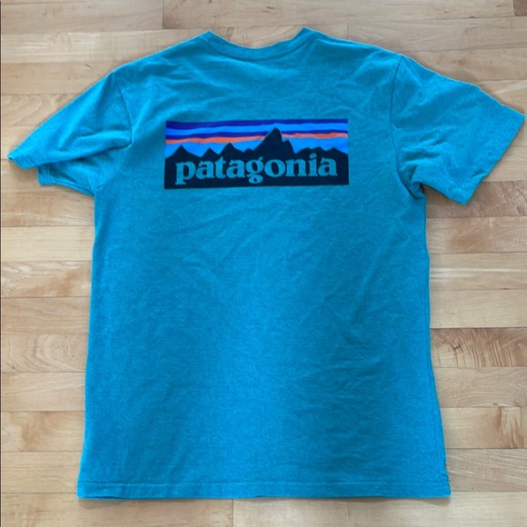 Patagonia Green Short Sleeve Tee - Picture 2 of 3